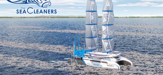 8. The Seacleaners