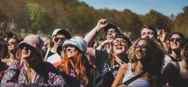 Slide show D3 at Rock en Seine