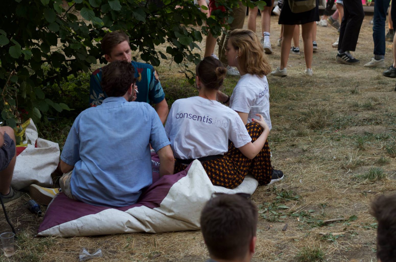 Consentis, association présente à Rock en Seine 2019 - Rock en Seine